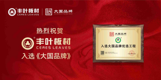 大國(guó)品牌，行業(yè)標(biāo)桿丨豐葉板材成功入選《大國(guó)品牌》